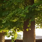 Alojamento de Acomodação e Pequeno-almoço La Tilia Saint-Riquier