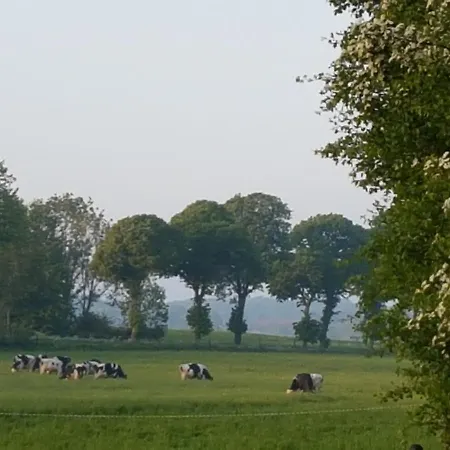 Bed & Breakfast La Tilia