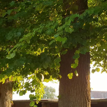 Bed & Breakfast La Tilia Saint-Riquier