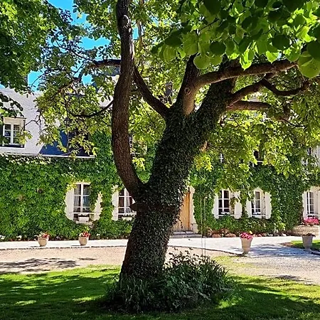 La Tilia Oda ve Kahvaltı 3*