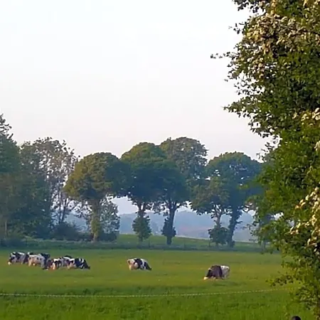 La Tilia Oda ve Kahvaltı Saint-Riquier